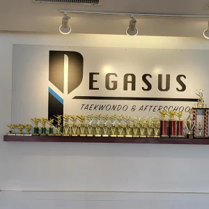 Pegasus Taekwondo After School