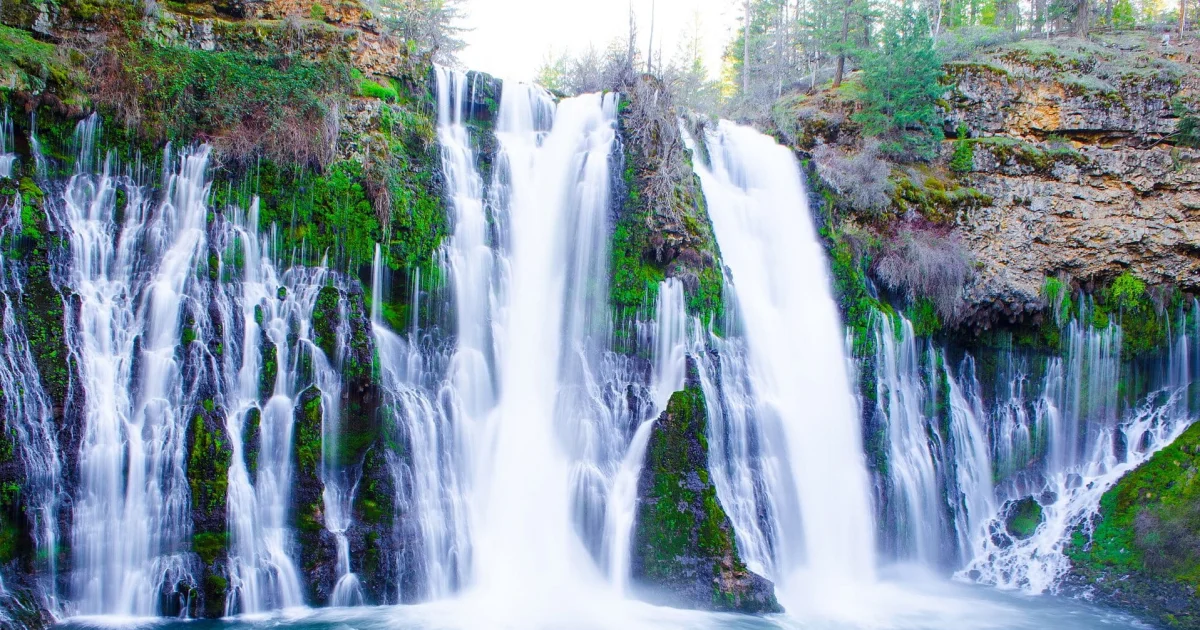 Burney Fal
