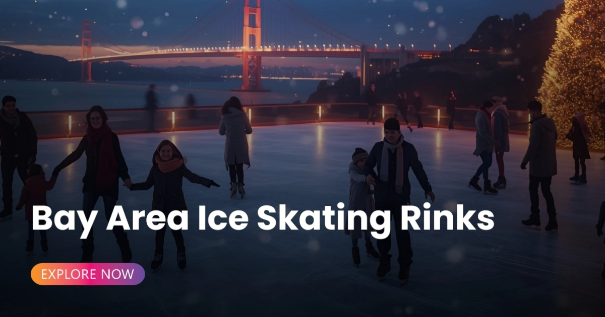 bay area ice skat