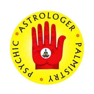 Indian astrologer vishnu