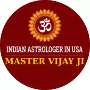 Indian Astrologer and Fortune Teller LLC