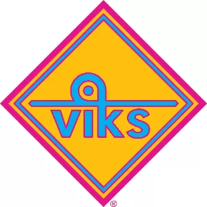 Viks Chaat
